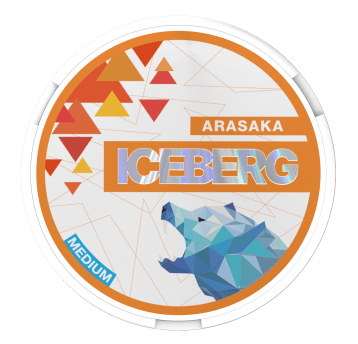 Woreczki Nikot. Iceberg 20mg/g - Arasaka