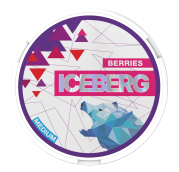 Woreczki Nikot. Iceberg 20mg/g - Berries