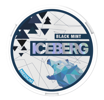 Woreczki Nikot. Iceberg 20mg/g - Black Mint