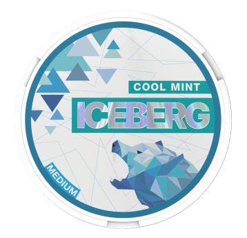 Woreczki Nikot. Iceberg 20mg/g - Cool Mint