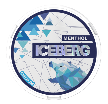 Woreczki Nikot. Iceberg 20mg/g - Menthol