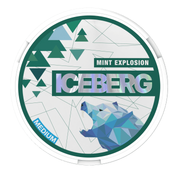 Woreczki Nikot. Iceberg 20mg/g - Mint Explosion