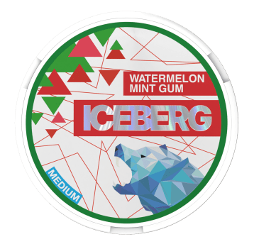 Woreczki Nikot. Iceberg 20mg/g - Watermelon Mint G
